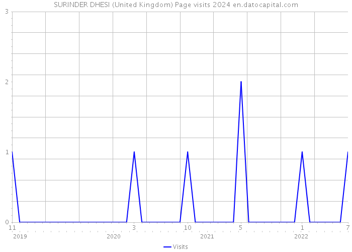 SURINDER DHESI (United Kingdom) Page visits 2024 