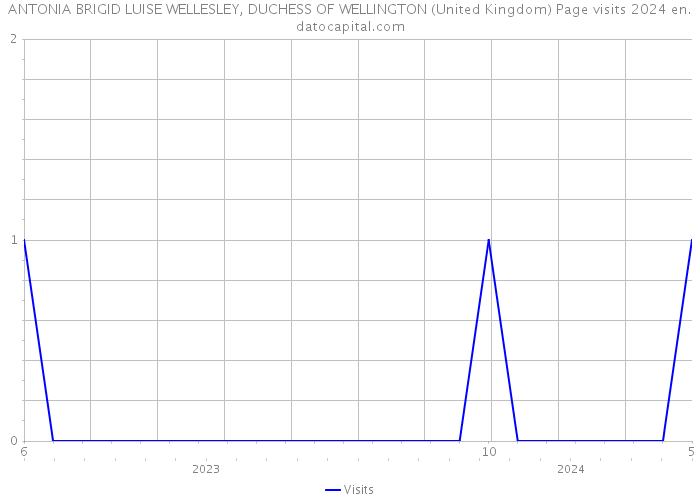 ANTONIA BRIGID LUISE WELLESLEY, DUCHESS OF WELLINGTON (United Kingdom) Page visits 2024 