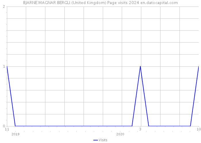 BJARNE MAGNAR BERGLI (United Kingdom) Page visits 2024 