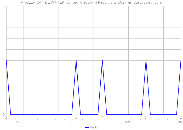 ANGELA GAY DE WINTER (United Kingdom) Page visits 2024 