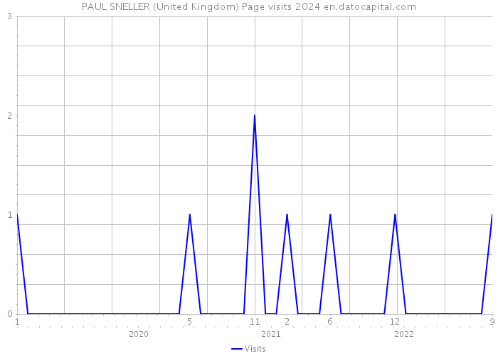 PAUL SNELLER (United Kingdom) Page visits 2024 