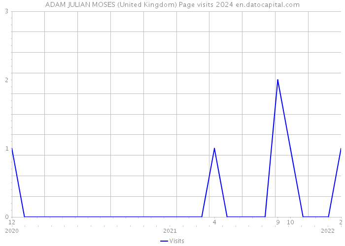 ADAM JULIAN MOSES (United Kingdom) Page visits 2024 