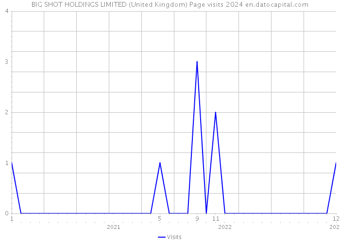 BIG SHOT HOLDINGS LIMITED (United Kingdom) Page visits 2024 