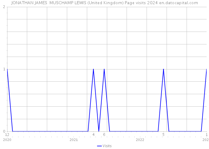 JONATHAN JAMES MUSCHAMP LEWIS (United Kingdom) Page visits 2024 
