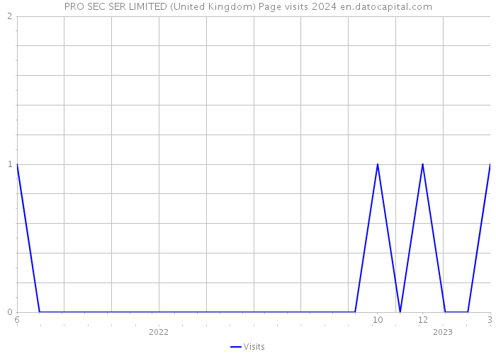 PRO SEC SER LIMITED (United Kingdom) Page visits 2024 