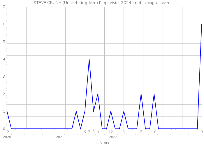 STEVE GRUNA (United Kingdom) Page visits 2024 