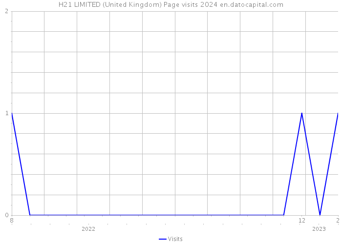 H21 LIMITED (United Kingdom) Page visits 2024 