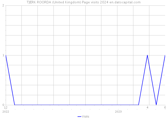 TJERK ROORDA (United Kingdom) Page visits 2024 