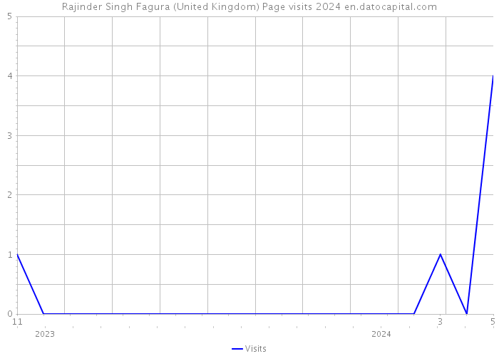 Rajinder Singh Fagura (United Kingdom) Page visits 2024 