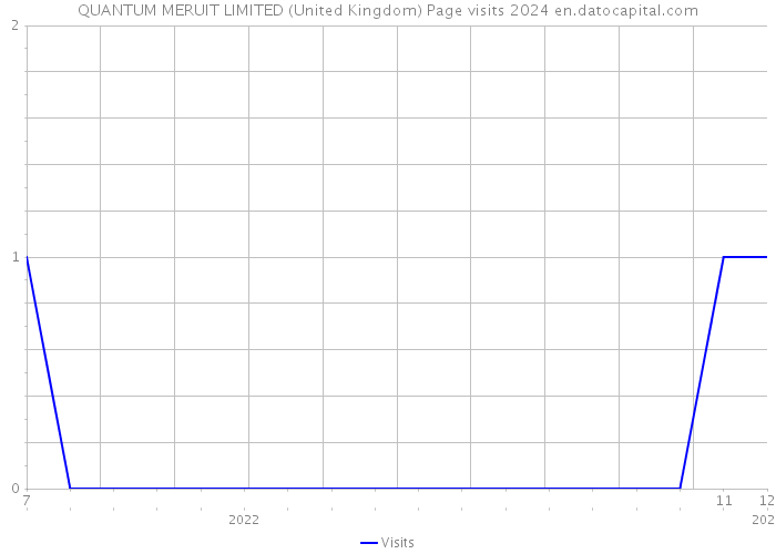 QUANTUM MERUIT LIMITED (United Kingdom) Page visits 2024 