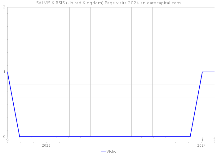 SALVIS KIRSIS (United Kingdom) Page visits 2024 