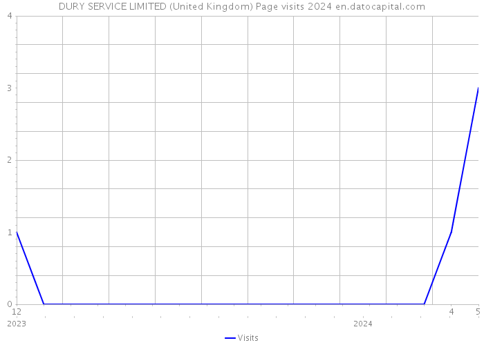 DURY SERVICE LIMITED (United Kingdom) Page visits 2024 