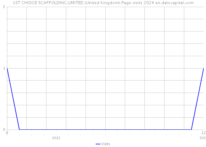 1ST CHOICE SCAFFOLDING LIMITED (United Kingdom) Page visits 2024 