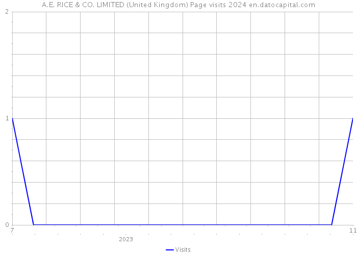 A.E. RICE & CO. LIMITED (United Kingdom) Page visits 2024 