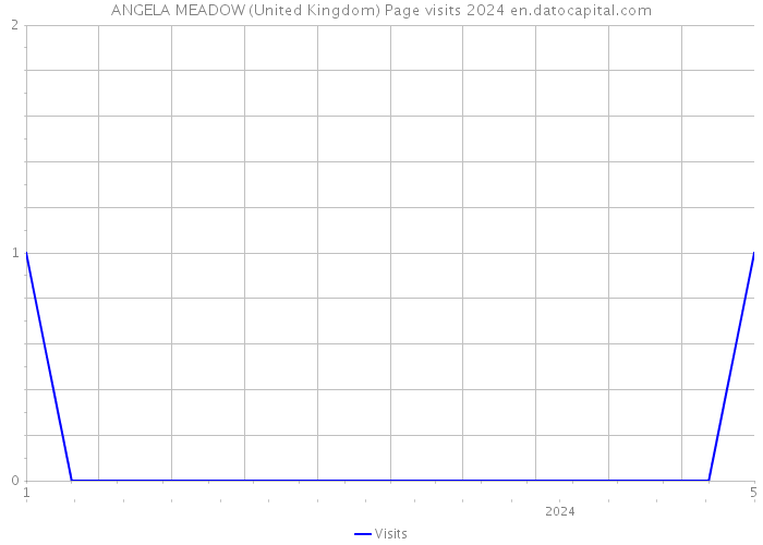 ANGELA MEADOW (United Kingdom) Page visits 2024 