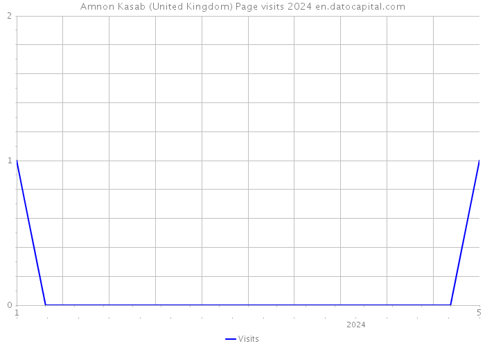 Amnon Kasab (United Kingdom) Page visits 2024 