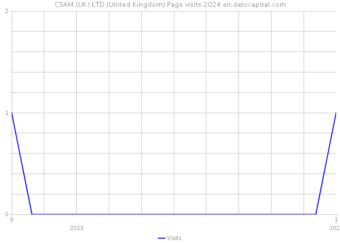 CSAM (UK) LTD (United Kingdom) Page visits 2024 