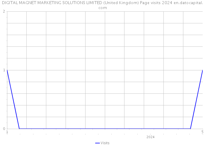 DIGITAL MAGNET MARKETING SOLUTIONS LIMITED (United Kingdom) Page visits 2024 