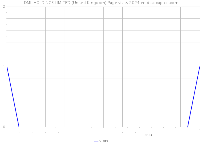 DML HOLDINGS LIMITED (United Kingdom) Page visits 2024 