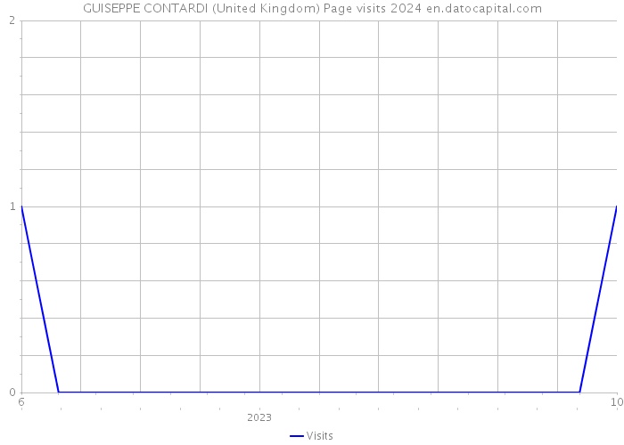 GUISEPPE CONTARDI (United Kingdom) Page visits 2024 
