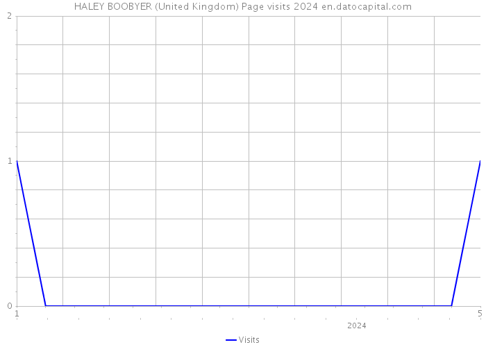 HALEY BOOBYER (United Kingdom) Page visits 2024 