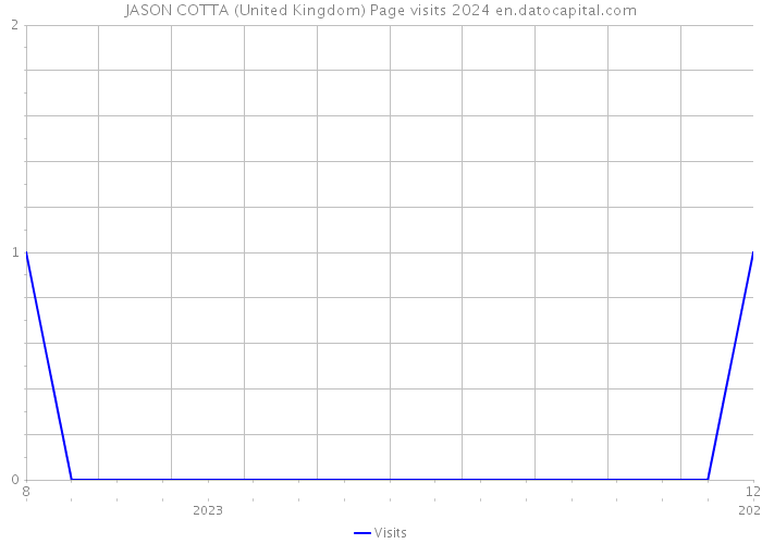 JASON COTTA (United Kingdom) Page visits 2024 