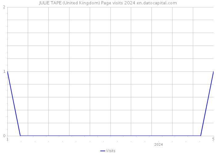 JULIE TAPE (United Kingdom) Page visits 2024 