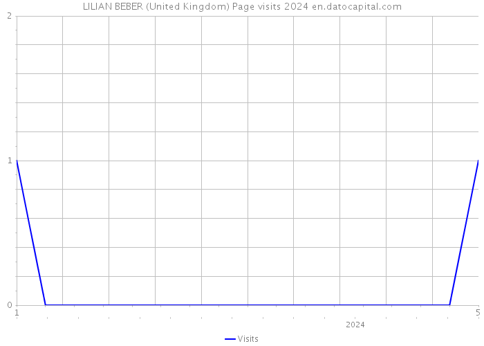 LILIAN BEBER (United Kingdom) Page visits 2024 