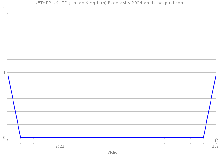 NETAPP UK LTD (United Kingdom) Page visits 2024 