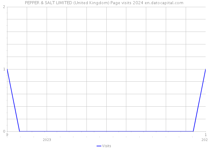 PEPPER & SALT LIMITED (United Kingdom) Page visits 2024 
