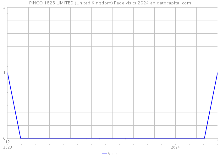 PINCO 1823 LIMITED (United Kingdom) Page visits 2024 