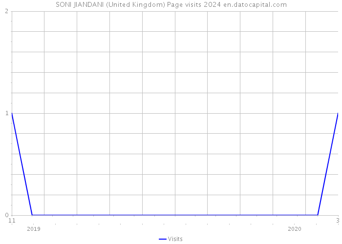 SONI JIANDANI (United Kingdom) Page visits 2024 