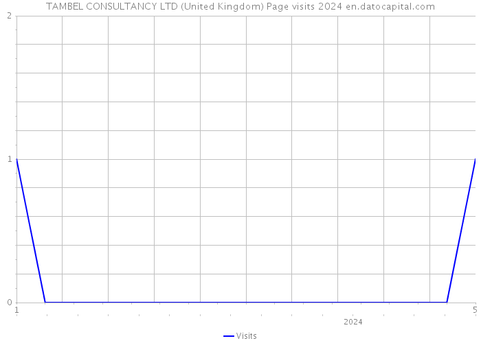 TAMBEL CONSULTANCY LTD (United Kingdom) Page visits 2024 
