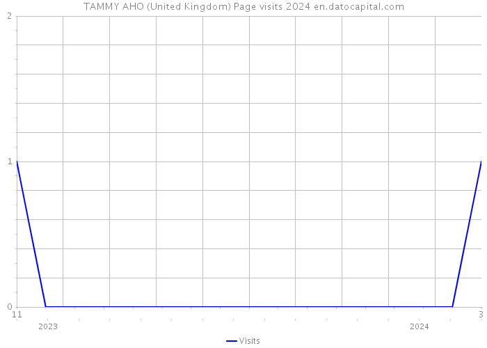TAMMY AHO (United Kingdom) Page visits 2024 