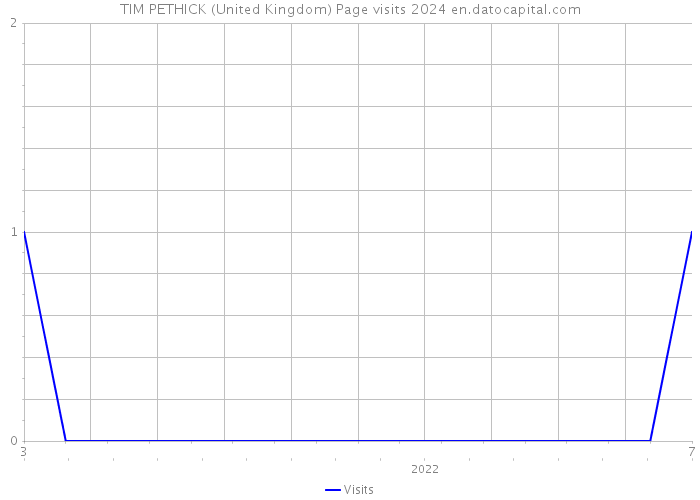 TIM PETHICK (United Kingdom) Page visits 2024 