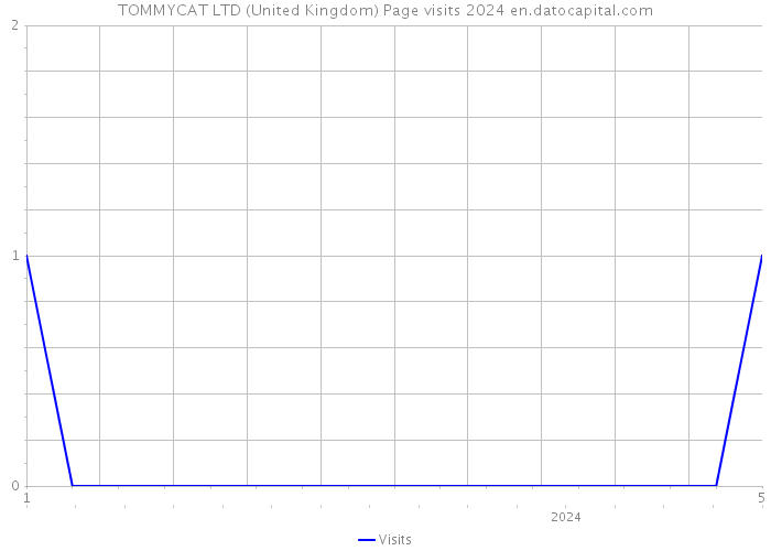TOMMYCAT LTD (United Kingdom) Page visits 2024 