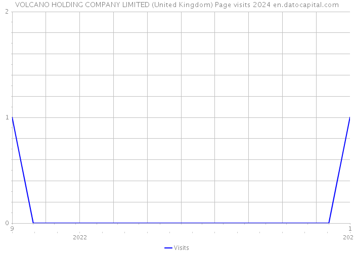 VOLCANO HOLDING COMPANY LIMITED (United Kingdom) Page visits 2024 