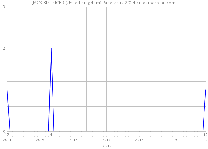JACK BISTRICER (United Kingdom) Page visits 2024 