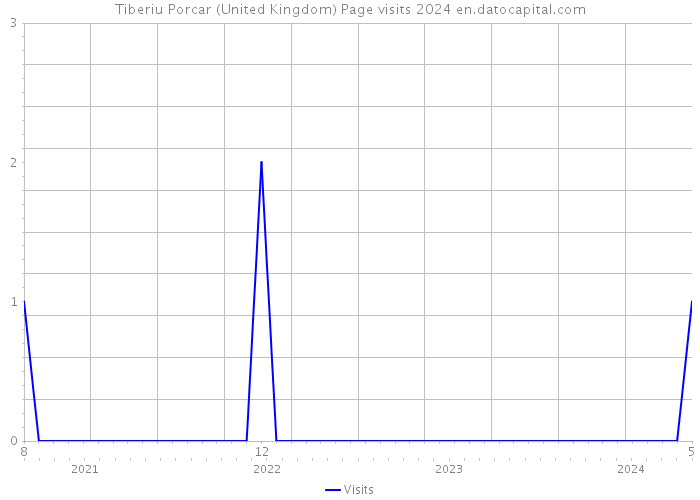 Tiberiu Porcar (United Kingdom) Page visits 2024 