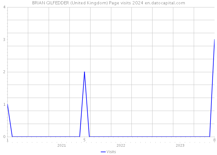 BRIAN GILFEDDER (United Kingdom) Page visits 2024 
