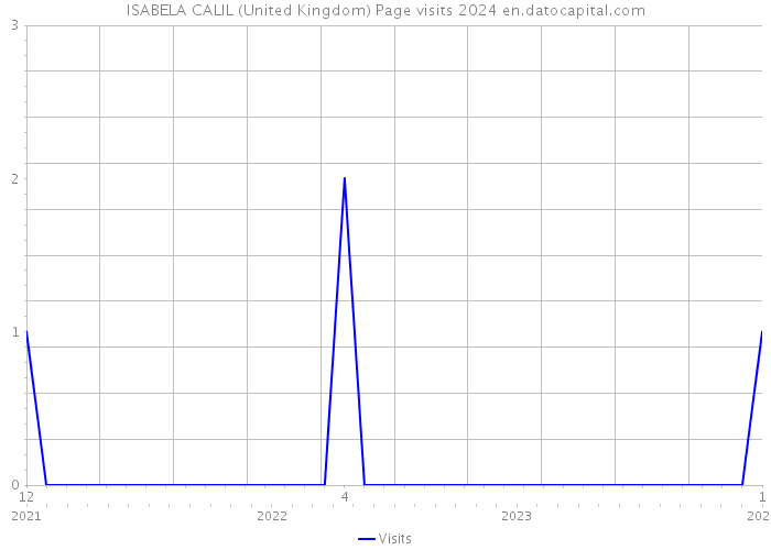 ISABELA CALIL (United Kingdom) Page visits 2024 