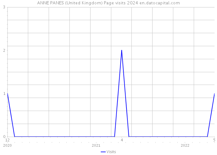 ANNE PANES (United Kingdom) Page visits 2024 