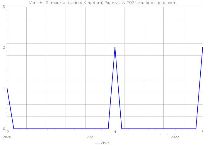 Vanisha Somauroo (United Kingdom) Page visits 2024 