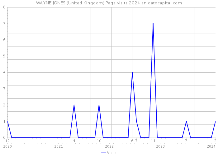 WAYNE JONES (United Kingdom) Page visits 2024 