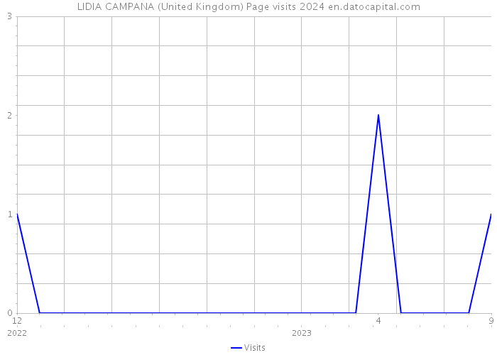 LIDIA CAMPANA (United Kingdom) Page visits 2024 