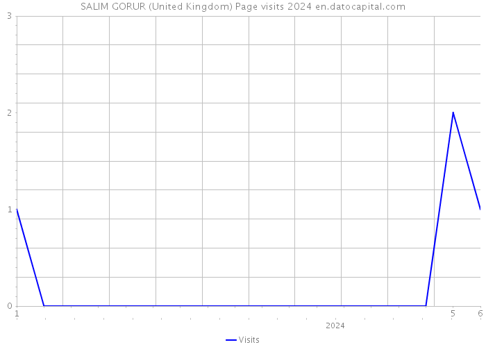 SALIM GORUR (United Kingdom) Page visits 2024 