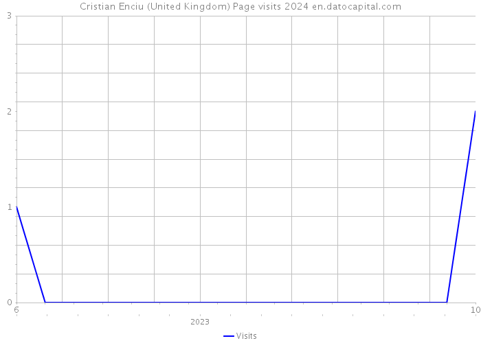 Cristian Enciu (United Kingdom) Page visits 2024 