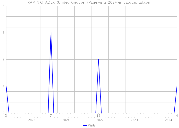 RAMIN GHADERI (United Kingdom) Page visits 2024 
