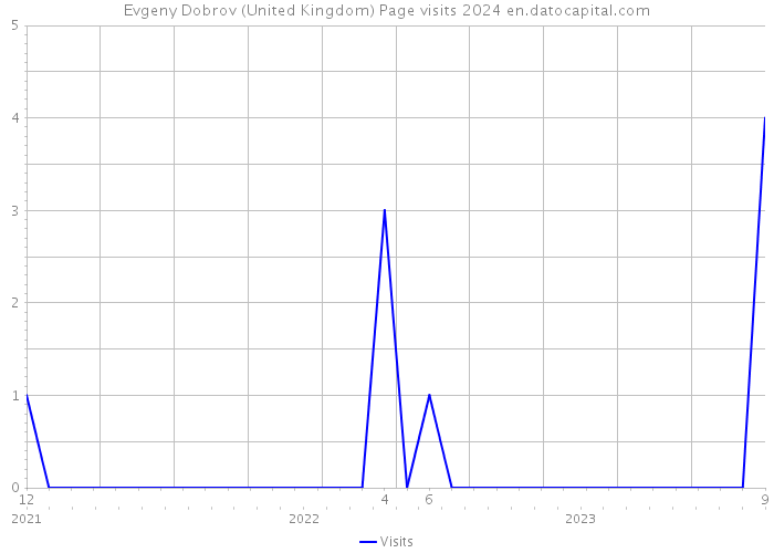 Evgeny Dobrov (United Kingdom) Page visits 2024 
