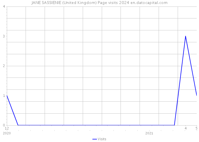 JANE SASSIENIE (United Kingdom) Page visits 2024 
